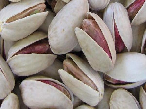 Buy pistachio in bulk from Iran