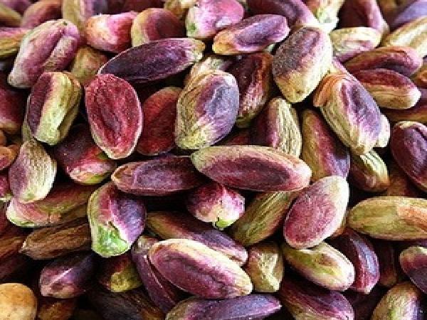 Major Pistachio dealers and vendors in Iran 