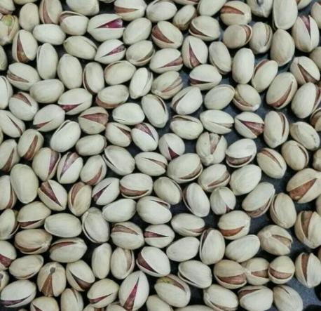 Are there any pistachio producers in Canada?